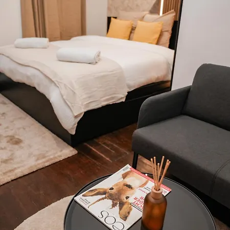 Spacious & Stylish 3 Adjacent Bedrooms In Apartment Gent