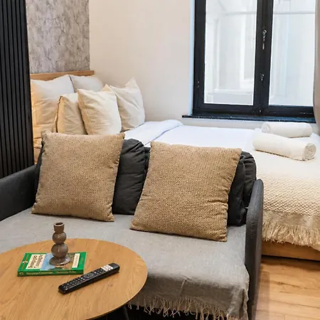 Spacious & Stylish 3 Adjacent Bedrooms In Gent