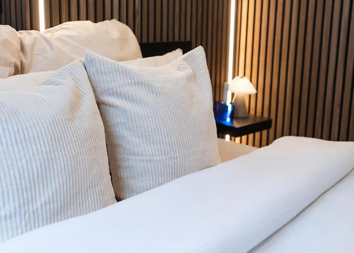 Spacious & Stylish 3 Adjacent Bedrooms In Gante