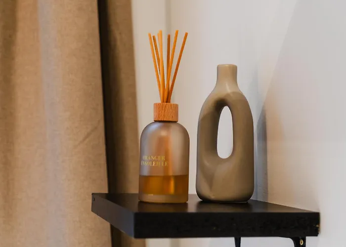 Spacious & Stylish 3 Adjacent Bedrooms In Gante