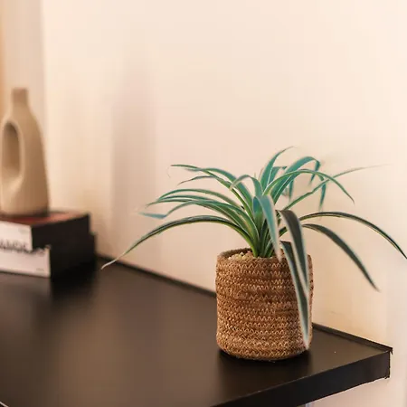 Spacious & Stylish 3 Adjacent Bedrooms In Apartman Gent